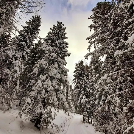 Rekreacne Zariadenie Cingov - Slovensky Raj Spišské Tomášovce