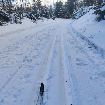 Rekreacne Zariadenie Cingov - Slovensky Raj Πανσιόν *