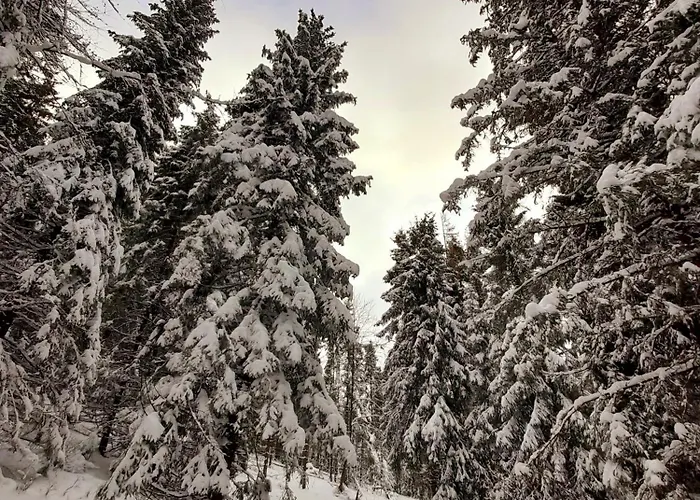 Rekreačné Zariadenie čingov - Slovenský Raj Spišské Tomášovce